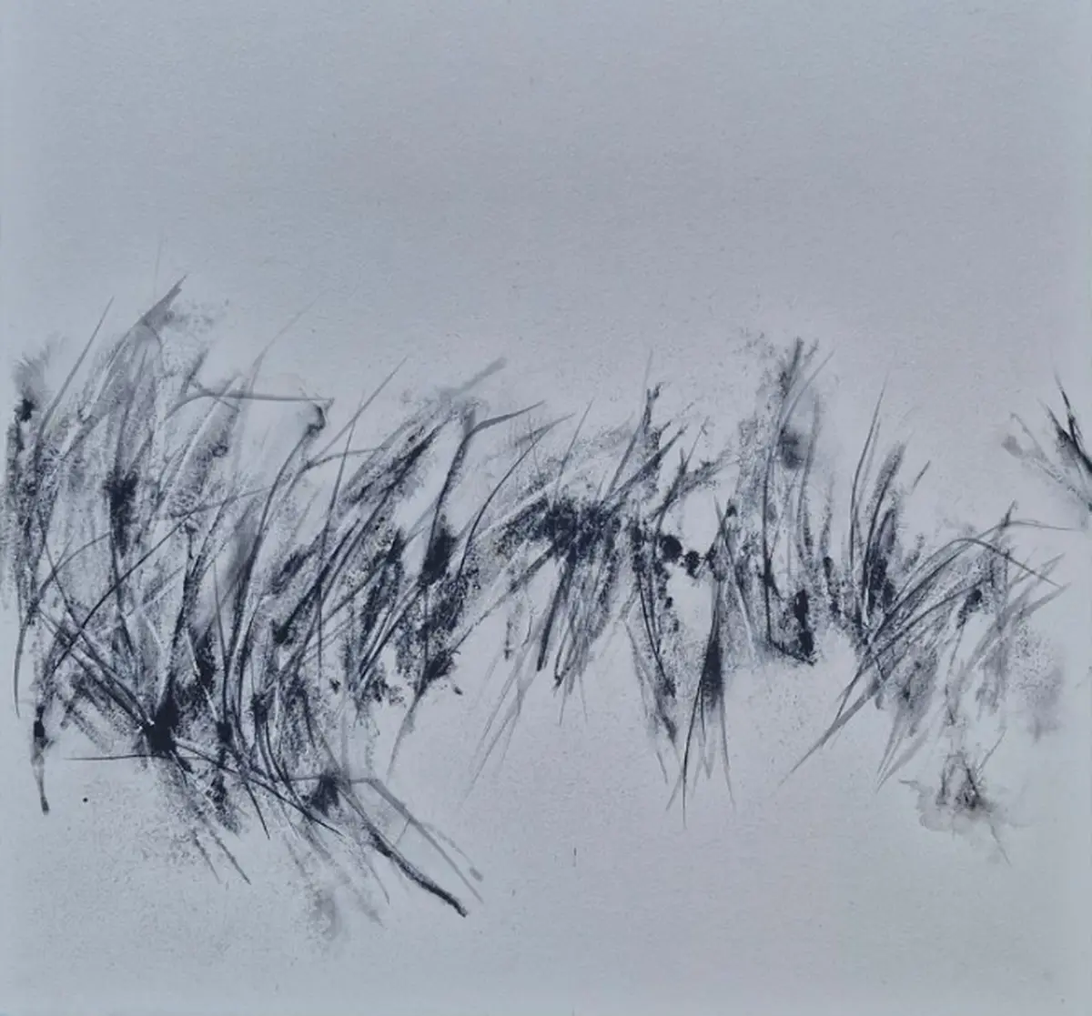 Exposition Simplement Sauvage de Patricia Fayat