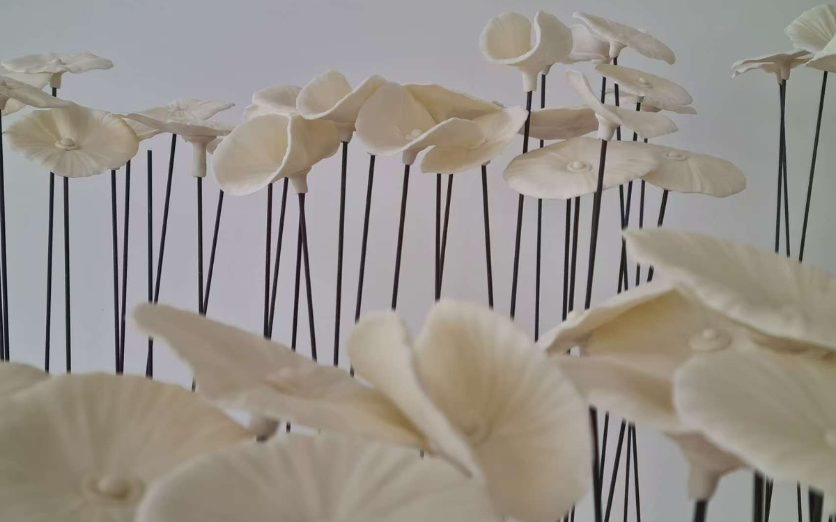 Exposition solo « Alice au royaume illusoire » : XiaoWei Yuan