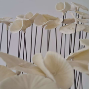 Exposition solo « Alice au royaume illusoire » : XiaoWei Yuan