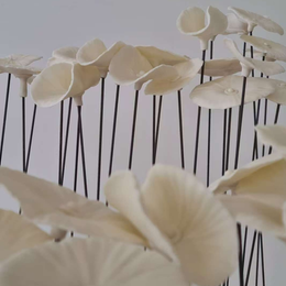 Exposition solo « Alice au royaume illusoire » : XiaoWei Yuan