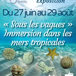 Exposition « Sous les vagues » - Immersion dans les mers tropicales