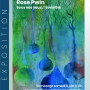 Exposition sous les yeux, l'invisible de Rose Pwin