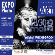 Exposition: Still Life, noire photographie -  Michel Wichegrod