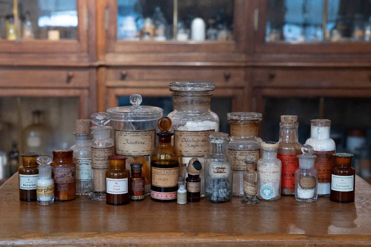 Exposition sur les drogues et substances psychoactives au Musée de l'Homme