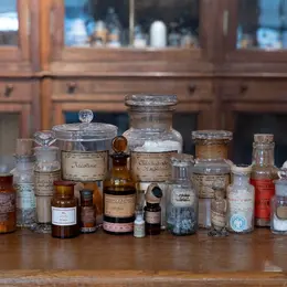Exposition sur les drogues et substances psychoactives au Musée de l'Homme