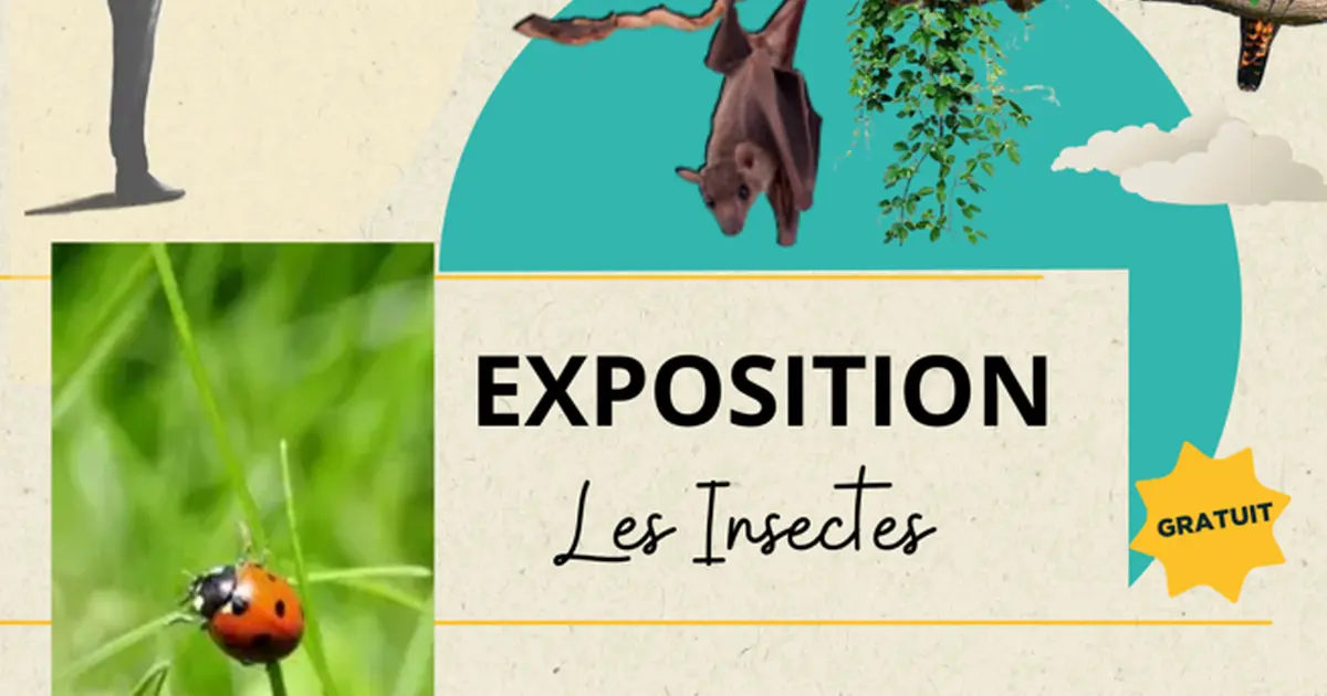 Exposition sur les insectes