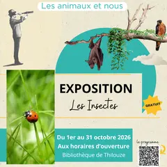 Exposition sur les insectes