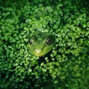 Exposition sur les zones humides et la biodiversité
