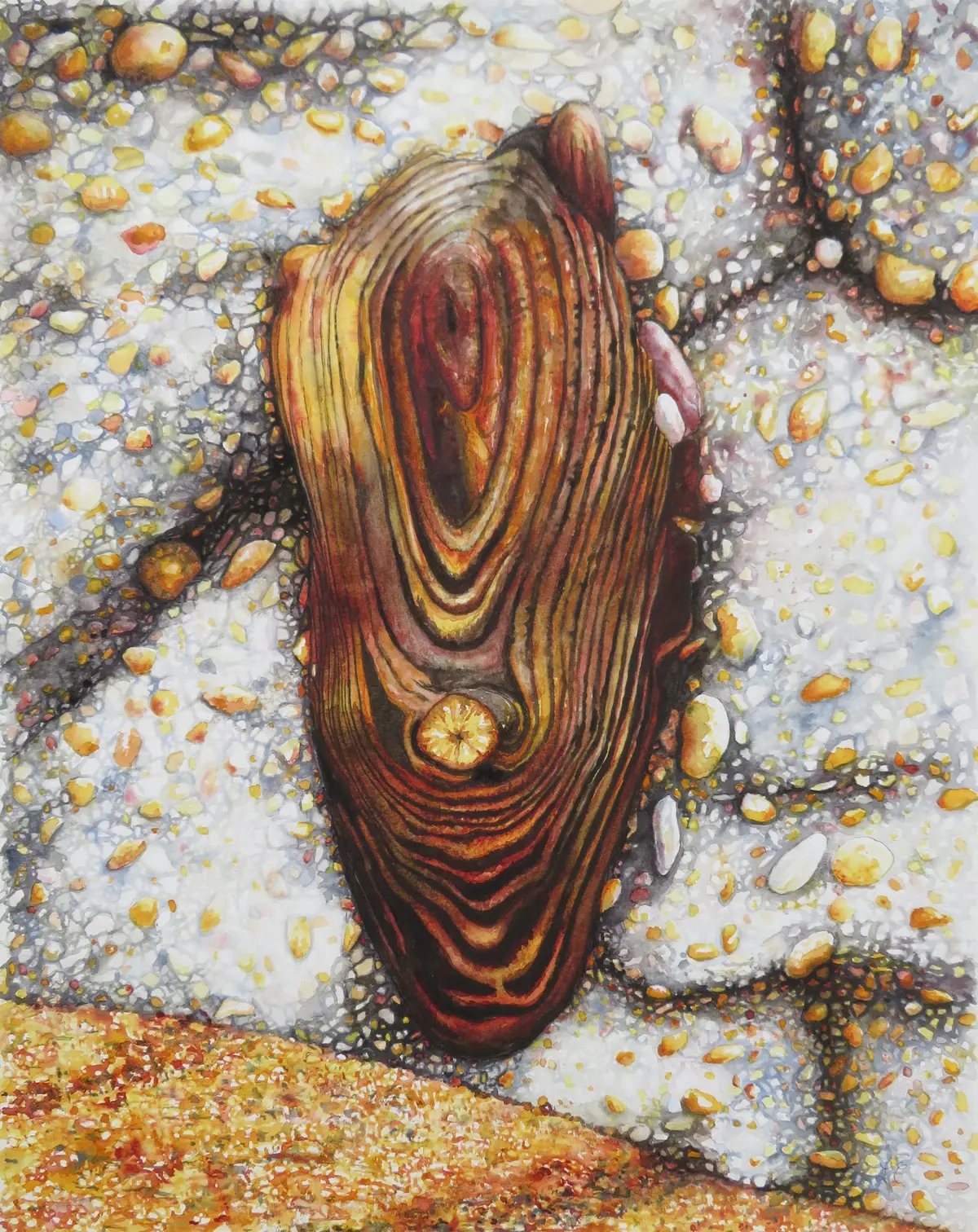 Exposition Temporaire