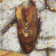 Exposition Temporaire