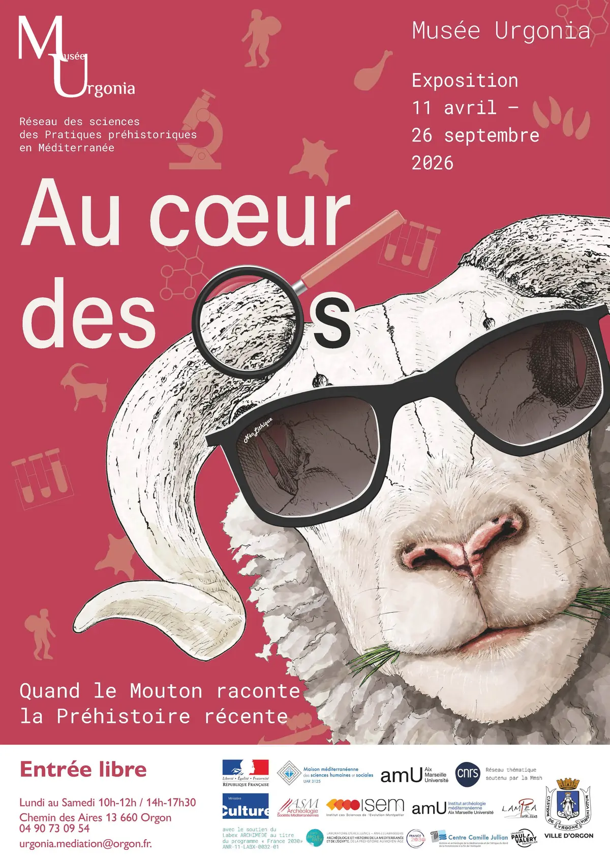 Exposition temporaire « Au cœur des os, quand le mouton raconte la Préhistoire récente »