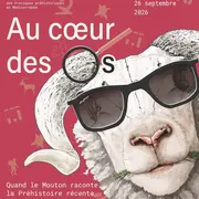 Exposition temporaire « Au cœur des os, quand le mouton raconte la Préhistoire récente »