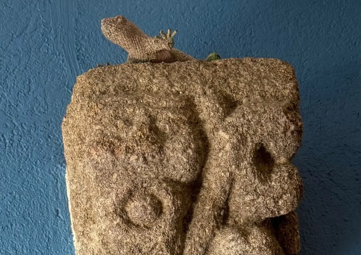 Exposition temporaire ludique de Denis Bulot