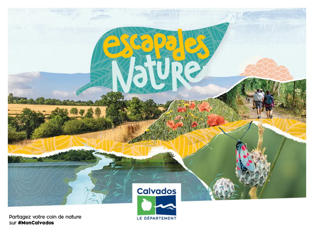 Exposition temporaire : Mosasaures, les dents du Crétacé