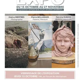 Exposition temporaire multi artistes amateurs