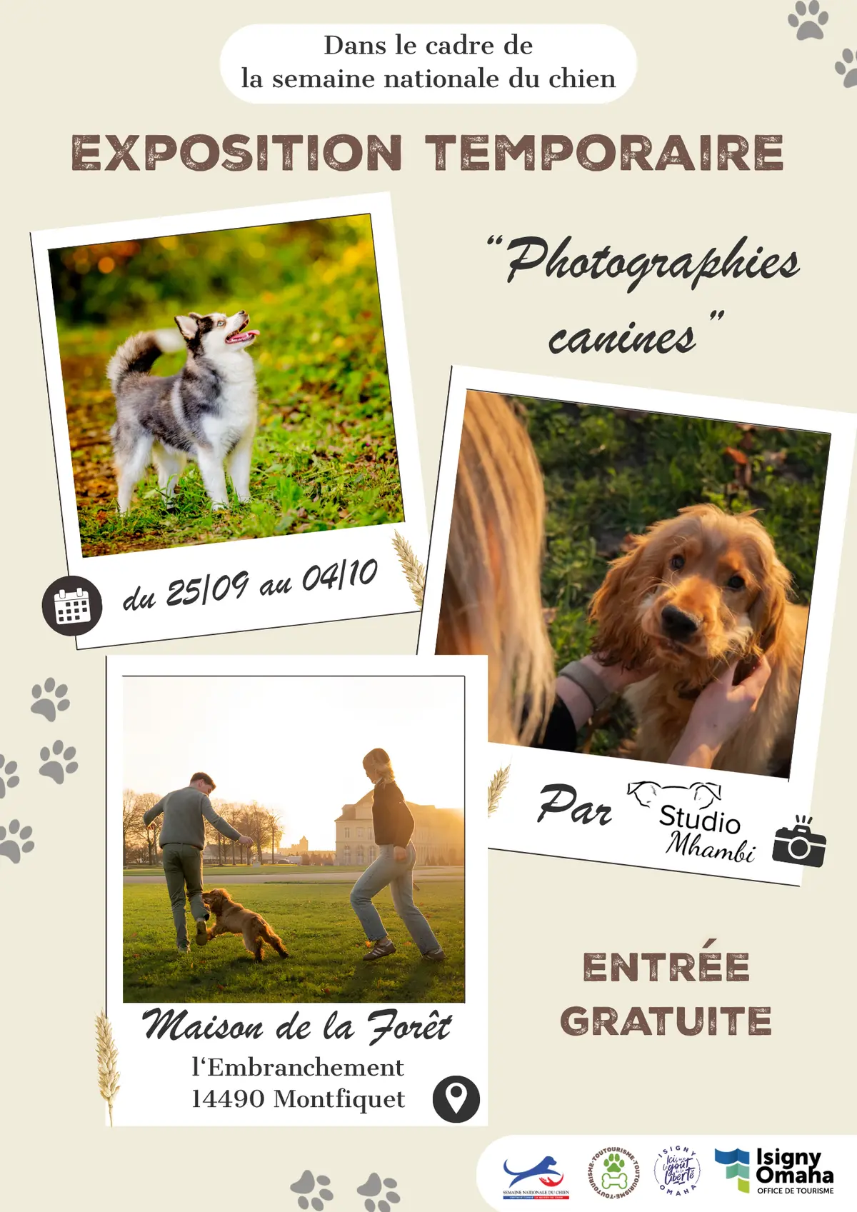 Exposition temporaire photographies canines