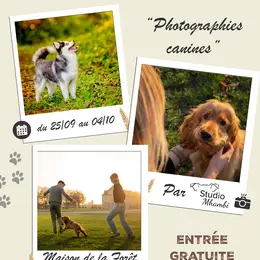 Exposition temporaire photographies canines