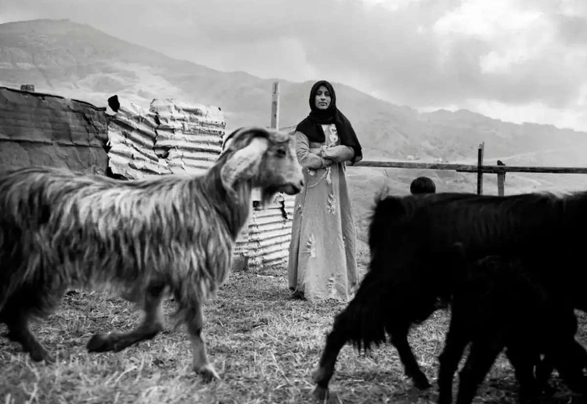 Exposition TEMPORARY LAND