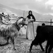 Exposition TEMPORARY LAND