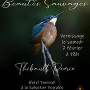 Exposition - Thibault Pomié