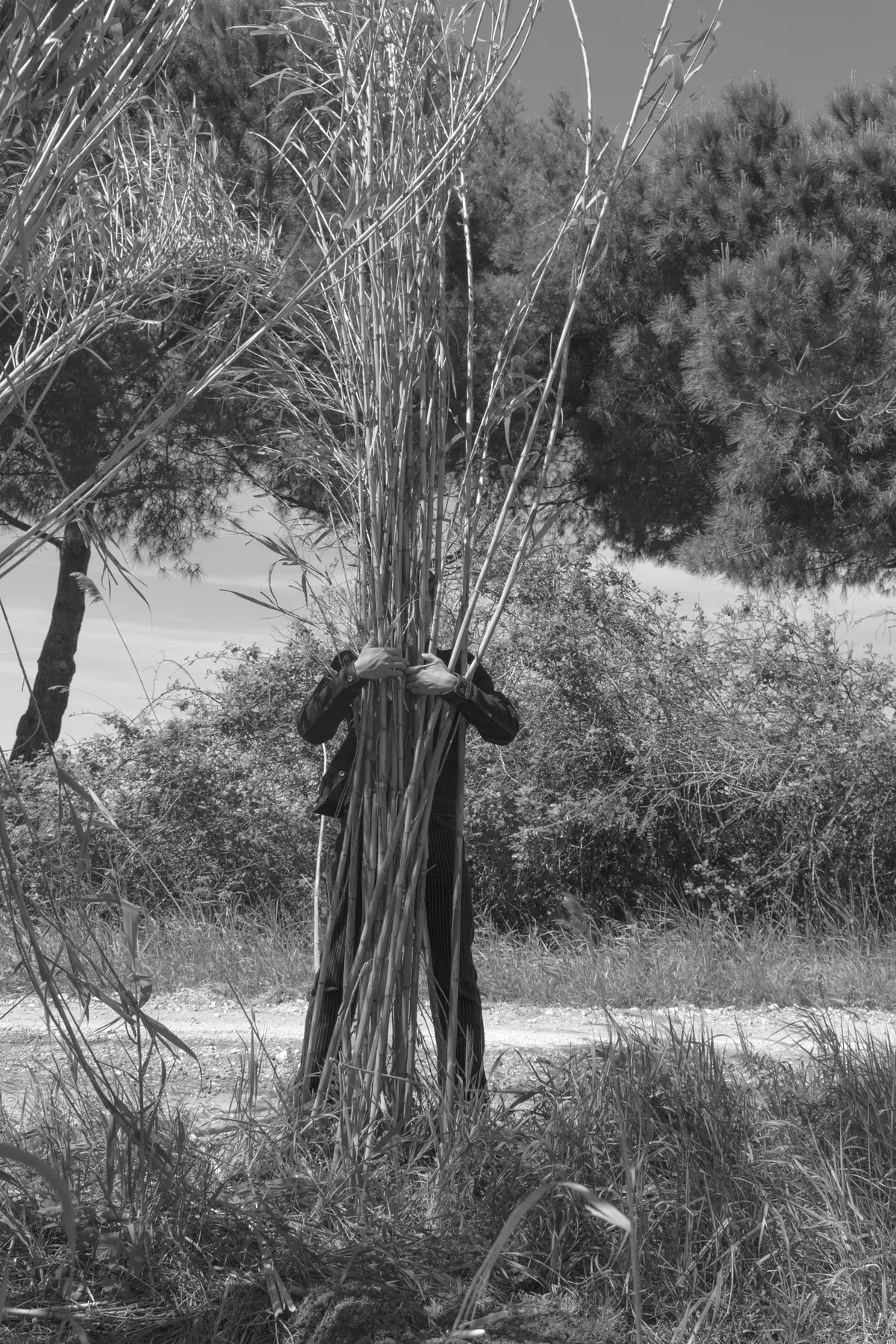 Exposition Tisser Les Imaginaires