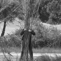 Exposition Tisser Les Imaginaires