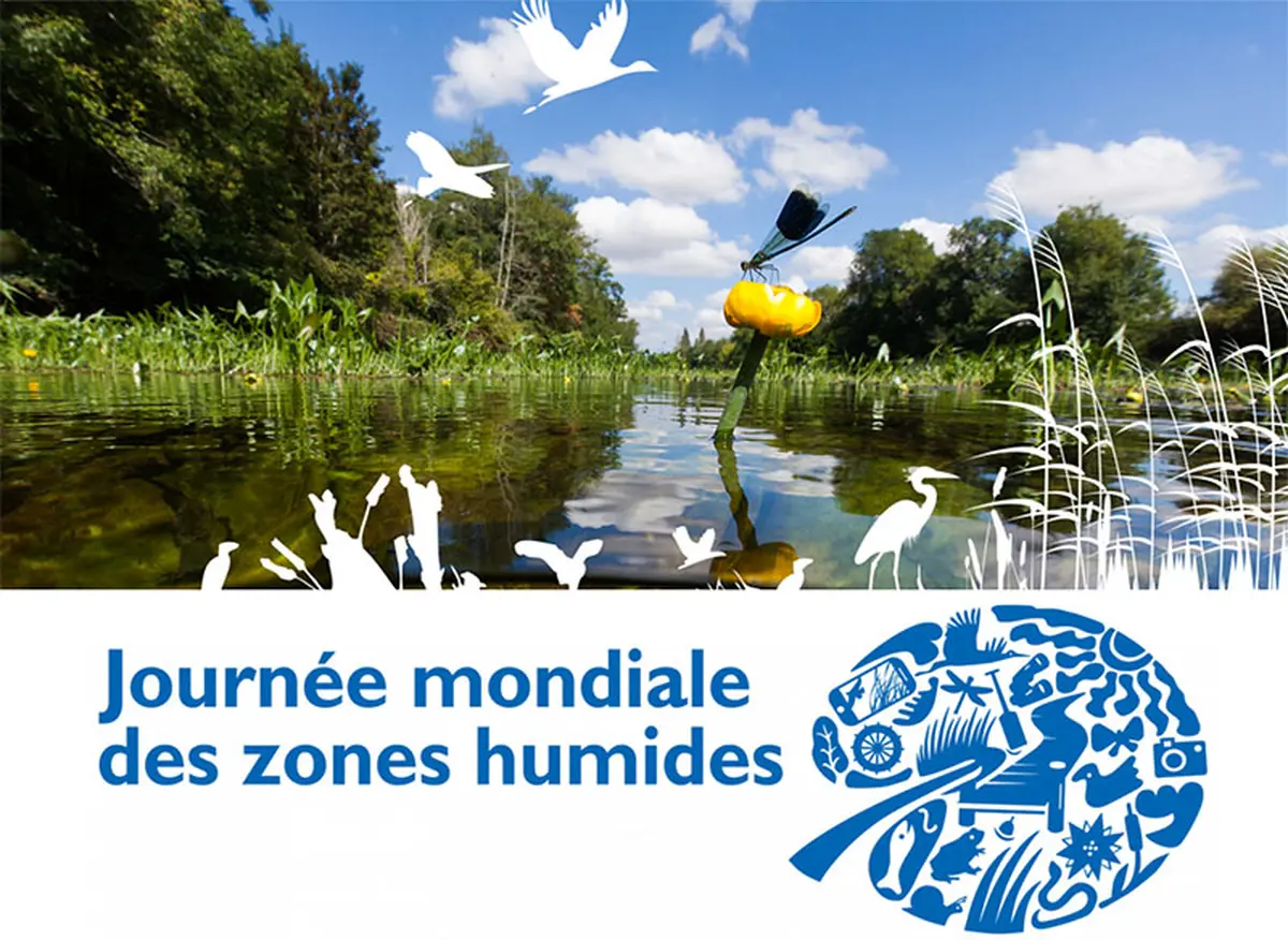 Exposition Tressage des plantes