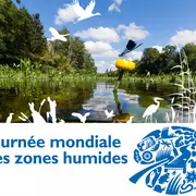 Exposition Tressage des plantes