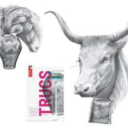 Exposition : Trucs - une expression sensible au delà des montagnes