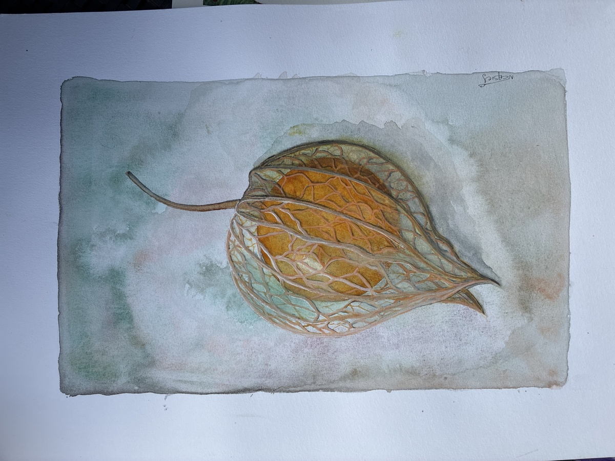 Exposition : Un regard devenu aquarelle