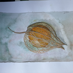 Exposition : Un regard devenu aquarelle
