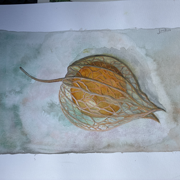 Exposition : Un regard devenu aquarelle