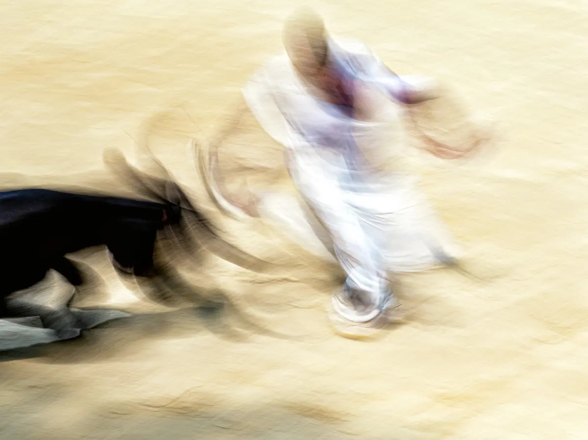 Exposition : Une danse dans l'arène