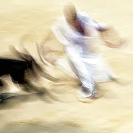 Exposition : Une danse dans l'arène