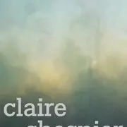 Exposition · une éclaircie à la verticale · claire chesnier