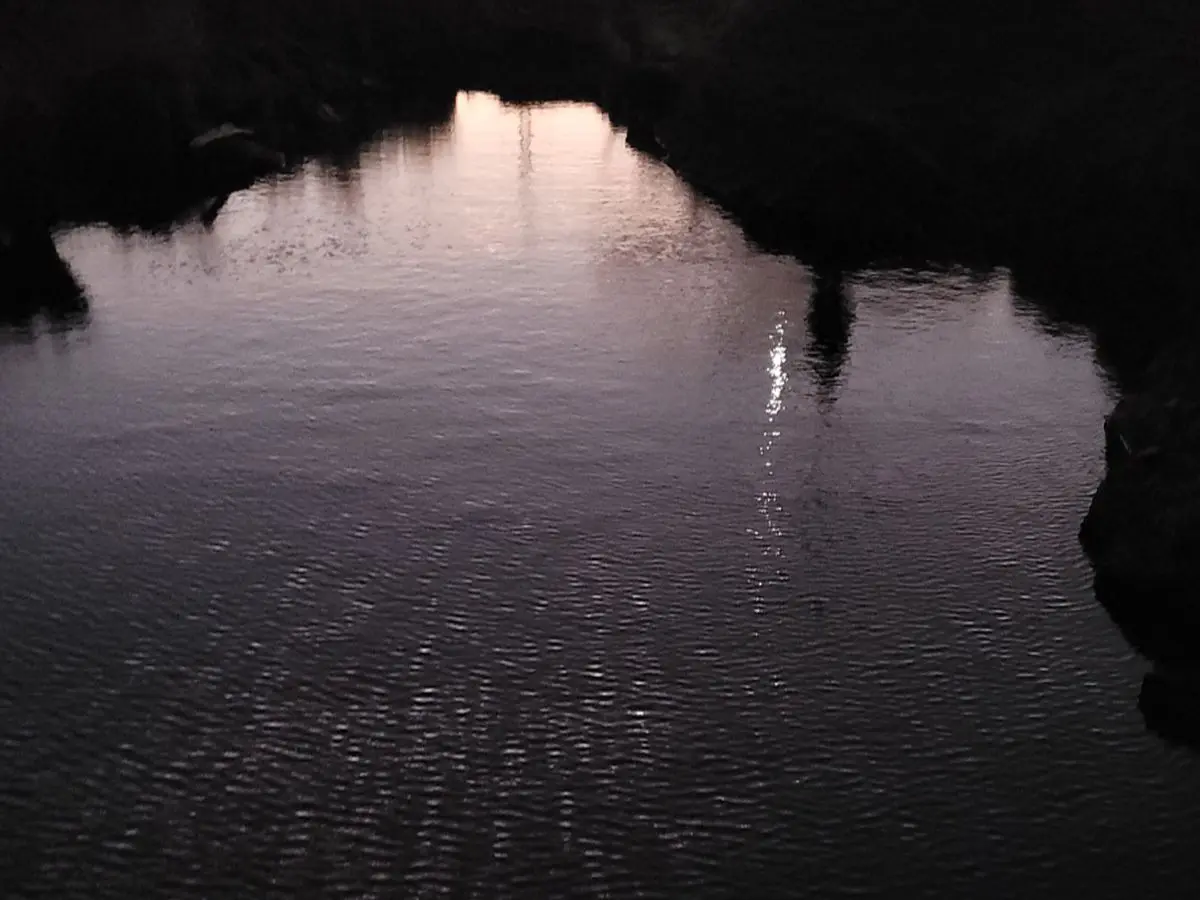 Exposition - Une Part de la Nuit