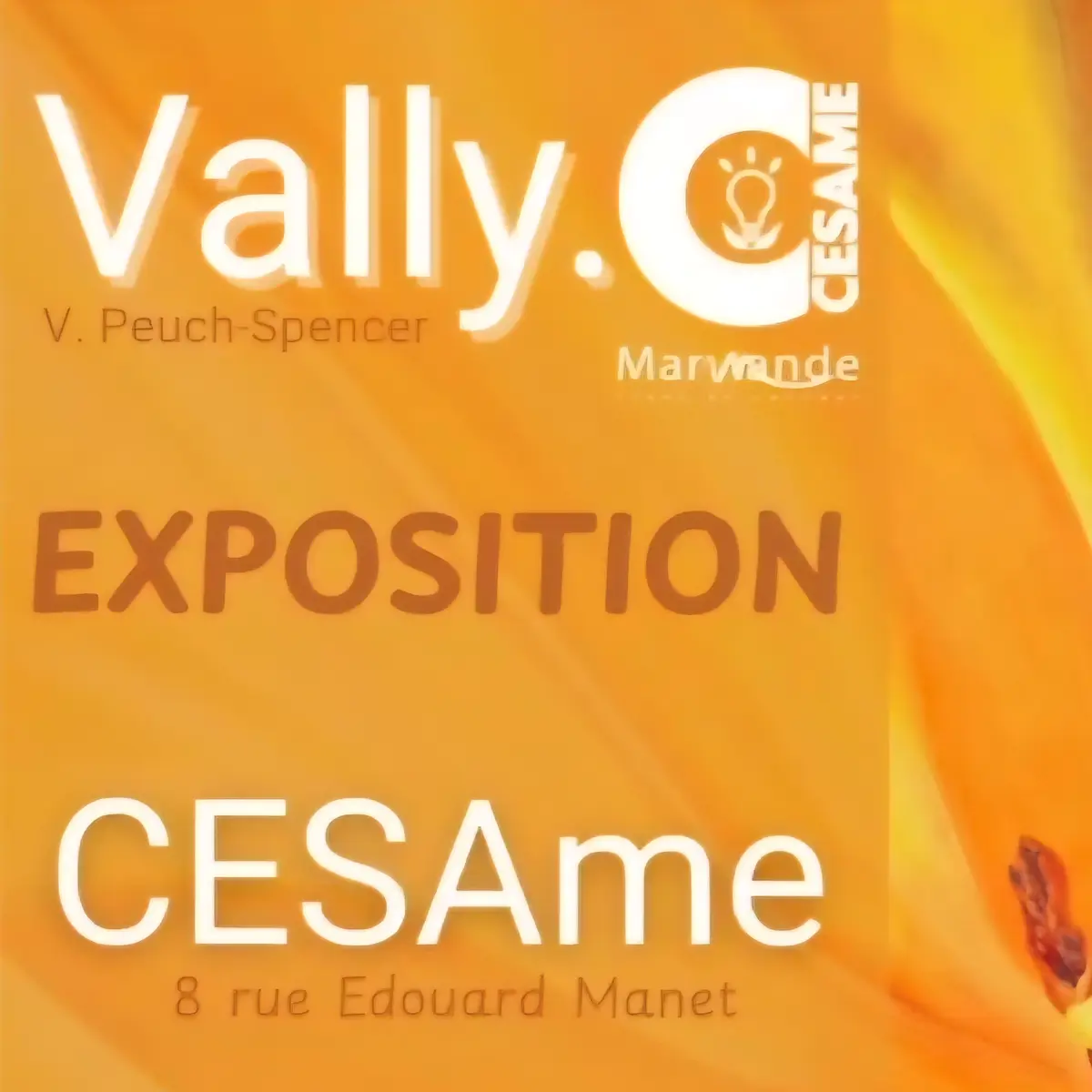 Exposition Vally à CESAme