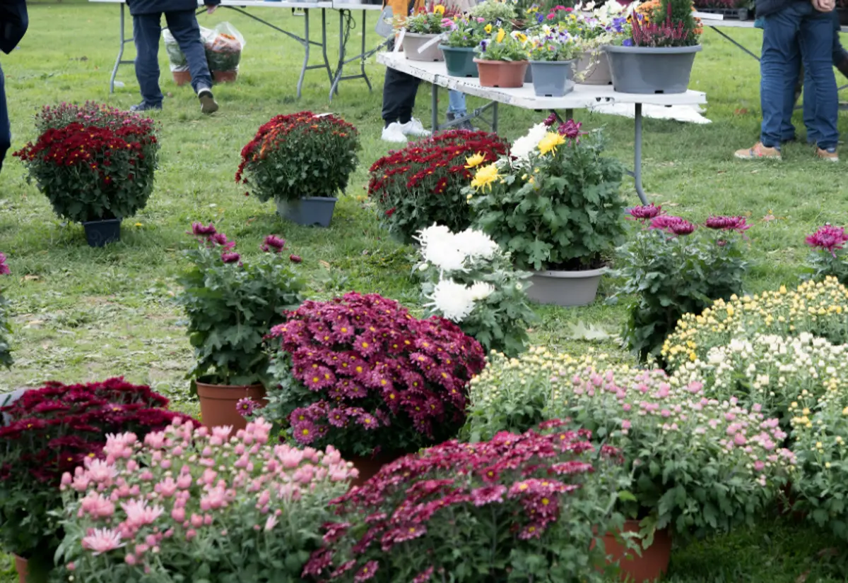 Exposition-vente de plantes à la Société d'horticulture à Niort