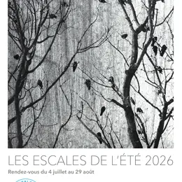 Exposition : Vernissage Marie Rameau