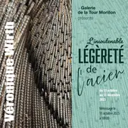 Exposition Véroniqe Wirth L'insoutenable légèreté de l'acier
