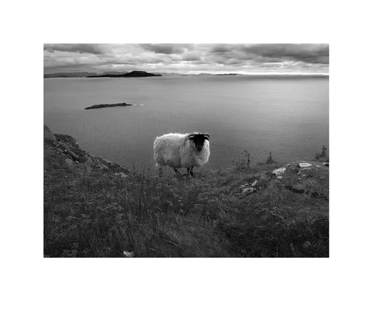 Exposition « Vert Irlande »