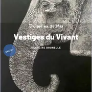 Exposition - Vestiges du Vivant