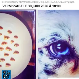 Exposition Vies à Vies De Ysabelle Podguszer Et Bérengère Batailler  –– Chez Arabesque