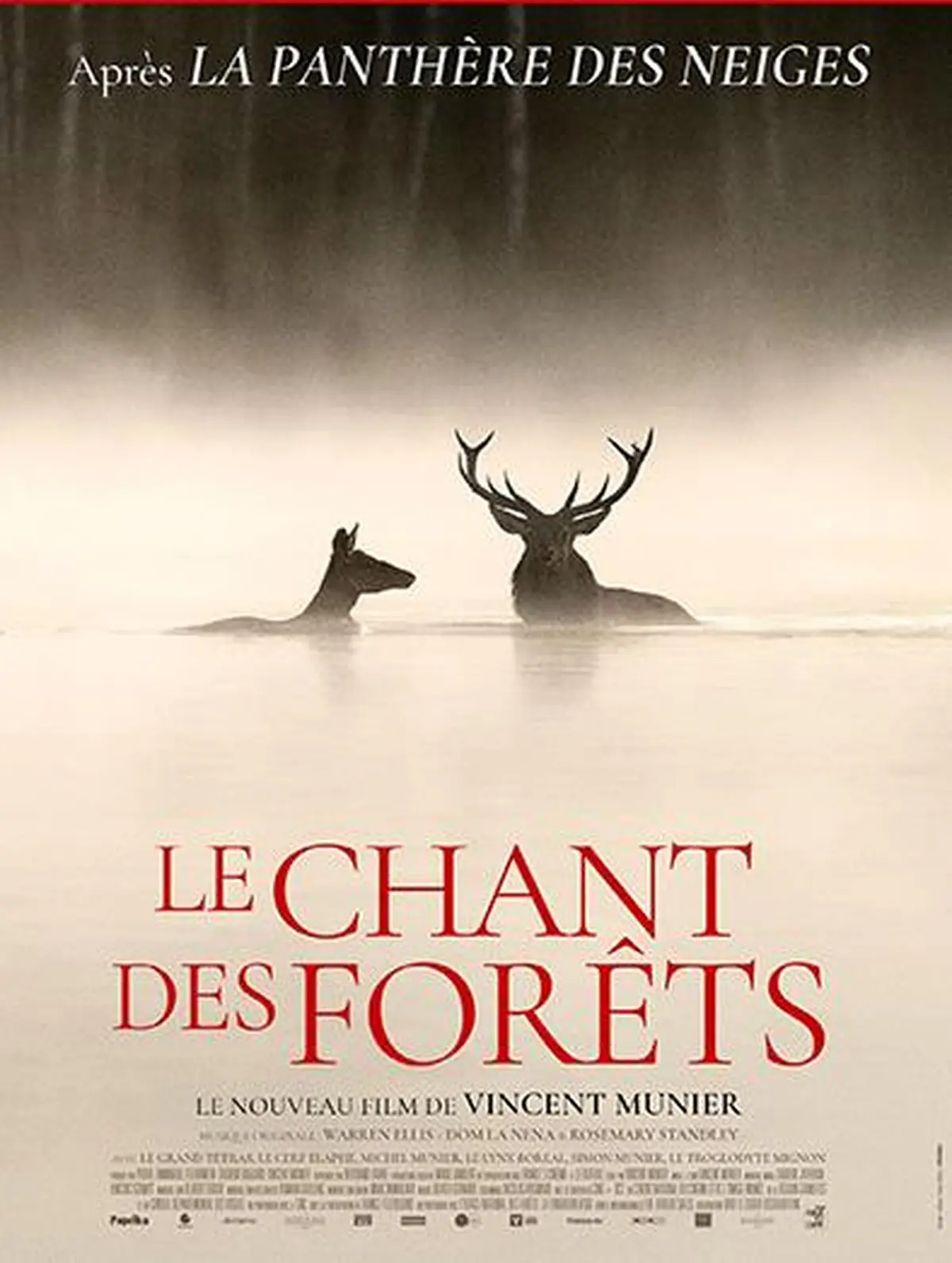 Exposition VINCENT MUNIER - Le Chant des Forêts