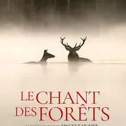 Exposition VINCENT MUNIER - Le Chant des Forêts