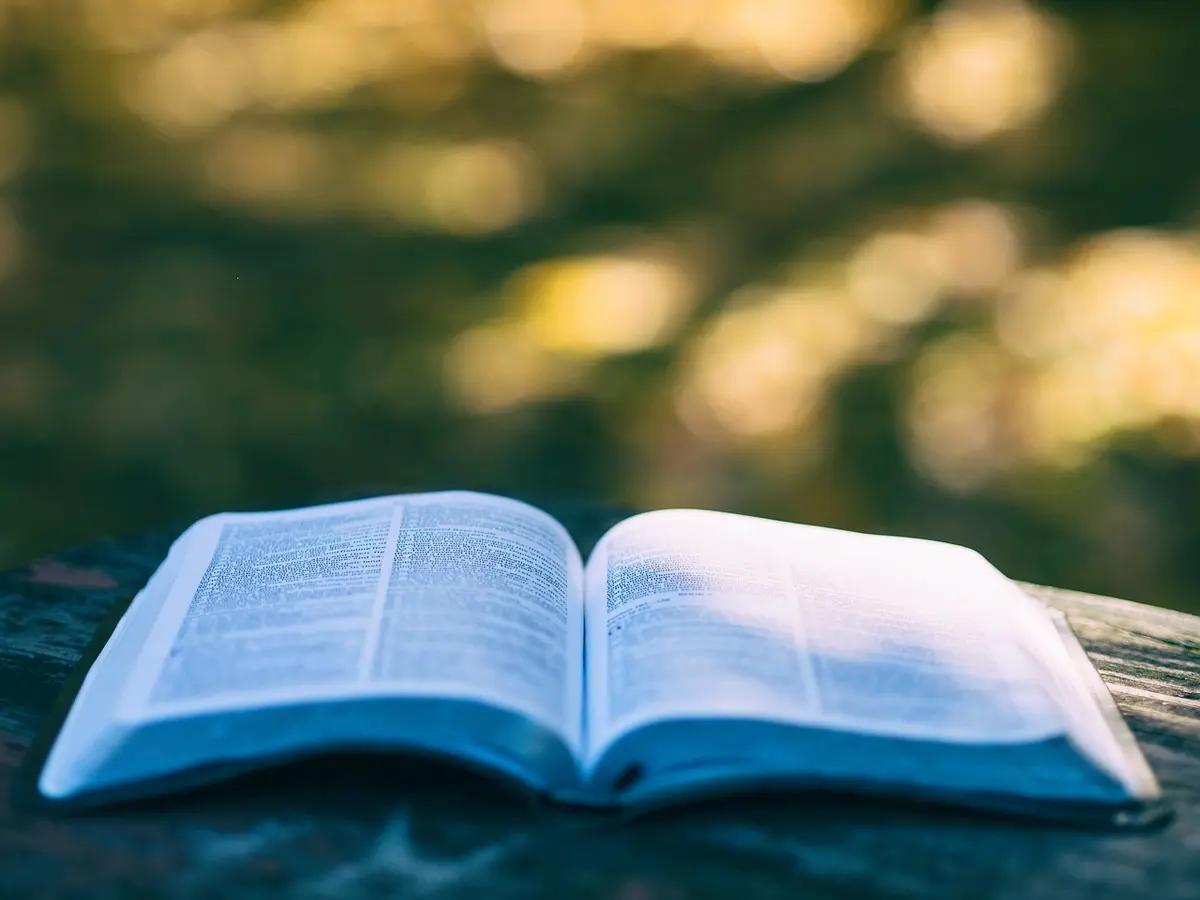 Exposition : Voici un livre