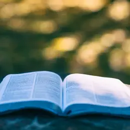 Exposition : Voici un livre