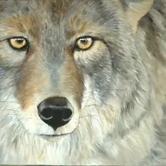 Exposition - Voisins de vie de Hélène LAGASSAN