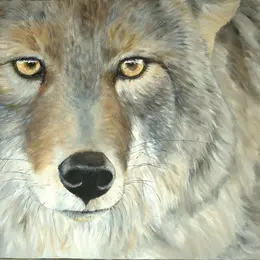 Exposition - Voisins de vie de Hélène LAGASSAN