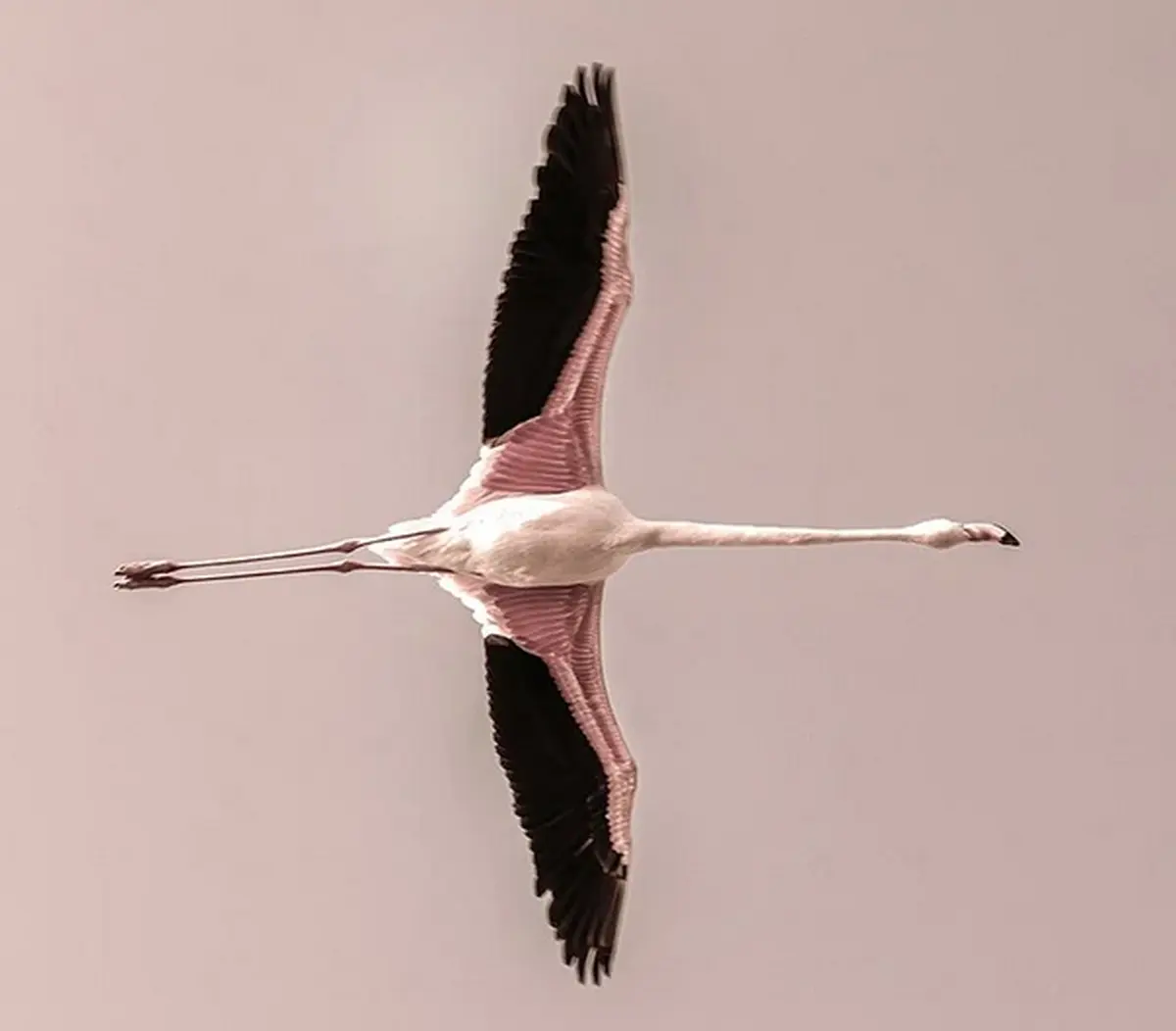 Exposition : Zénitude Crépusculaire - Une exposition de Frank Follet